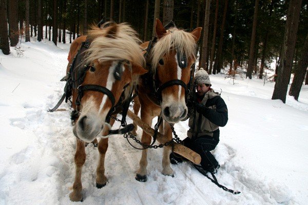 wielka-sanna-dobroczynna-25833