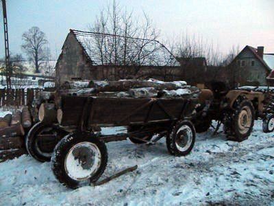 ukrad-olchy-i-brzoze-26039
