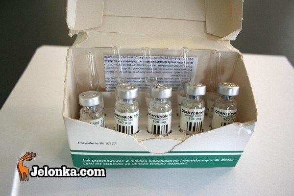 afera-corhydronowa-przed-sadem-26162