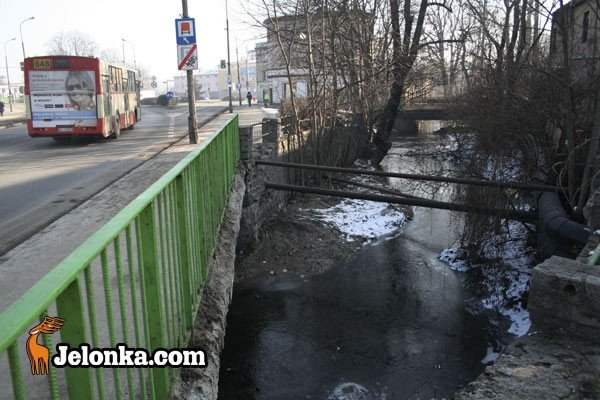 zielone-swiato-dla-pieknej-mynowki-26396
