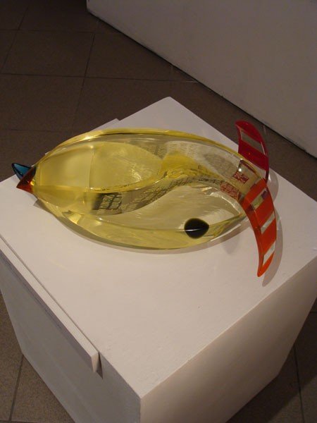 szko-i-obraz-w-duecie-26439