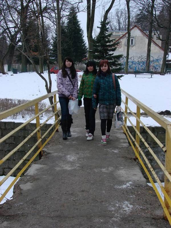 mosty-pod-chojnikiem-w-fatalnym-stanie-26531