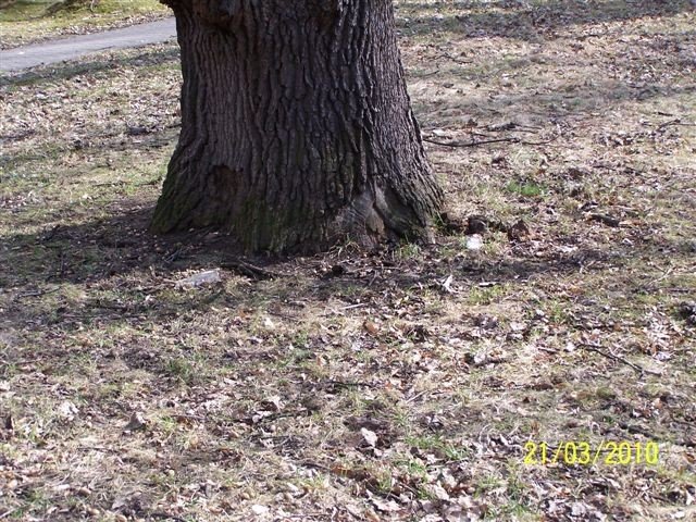 park-zdrojowy-wiosna-nedza-i-rozpacz-26628
