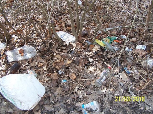 park-zdrojowy-wiosna-nedza-i-rozpacz-26628