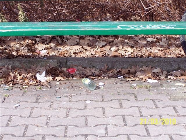 park-zdrojowy-wiosna-nedza-i-rozpacz-26628