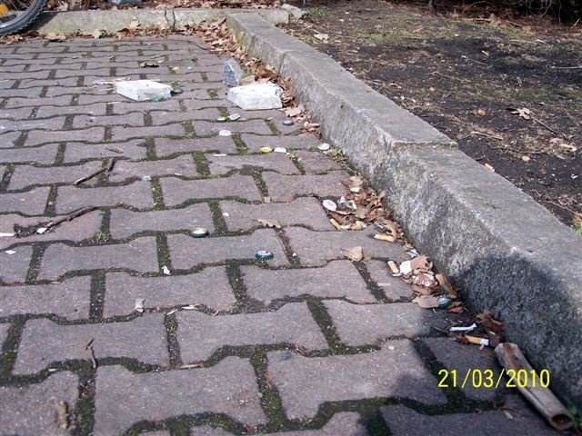 park-zdrojowy-wiosna-nedza-i-rozpacz-26628