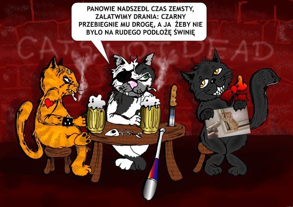 kocia-zemsta-26635