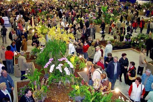 pachnace-targi-przybliza-drezno-26639