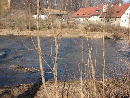 nowa-nadzieja-na-ratunek-bobru-26714