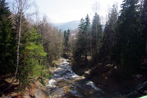 promocja-na-dwoch-nogach-26741