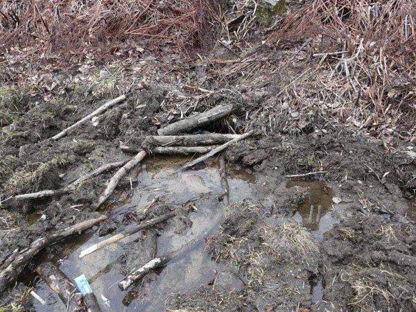 bagno-na-torach-w-szklarskiej-porebie-26775
