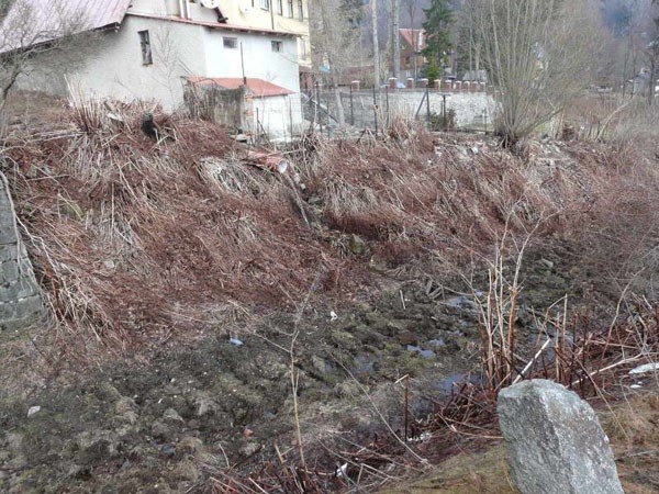 bagno-na-torach-w-szklarskiej-porebie-26775