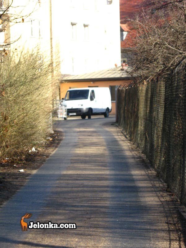 szalenstwo-na-skroty-26842