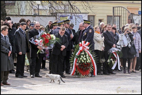 na-stos-cia-rzucili-polski-los-video-27001