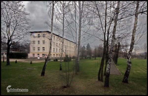 szoruj-babciu-do-kolejki-piec-po-czwartej-27032