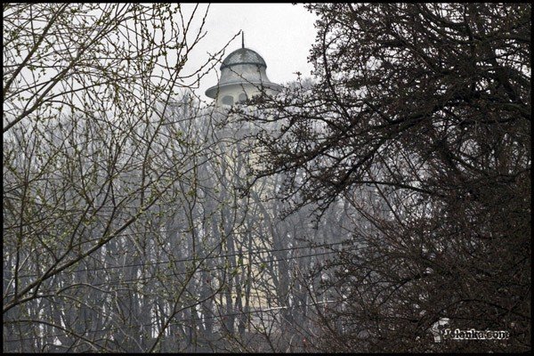 samosiejki-pod-topor-dla-lepszych-widokow-27042