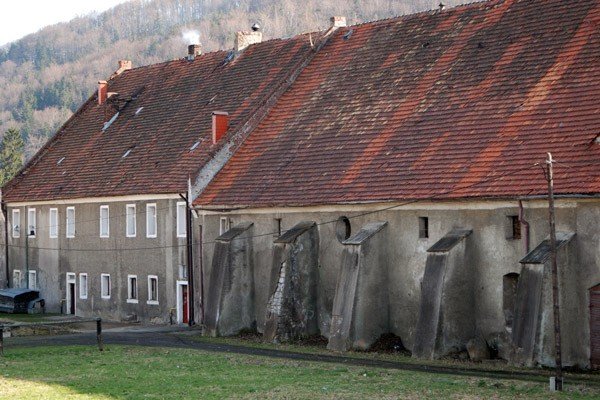 szaleja-w-byym-gospodarstwie-27076