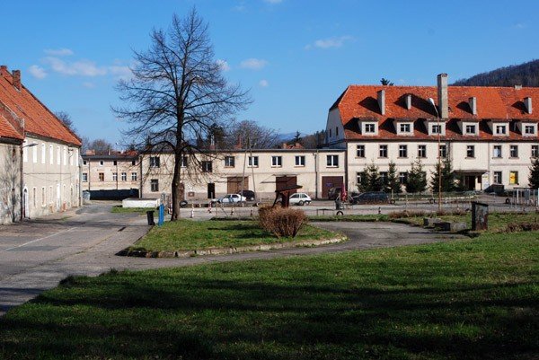 szaleja-w-byym-gospodarstwie-27076