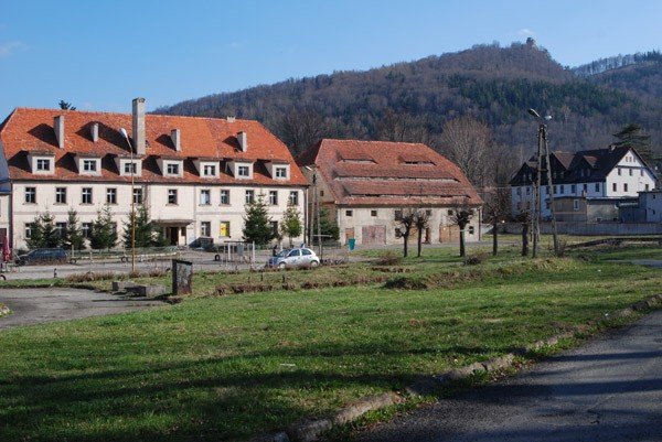 szaleja-w-byym-gospodarstwie-27076