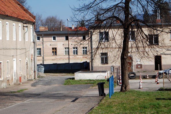 szaleja-w-byym-gospodarstwie-27076