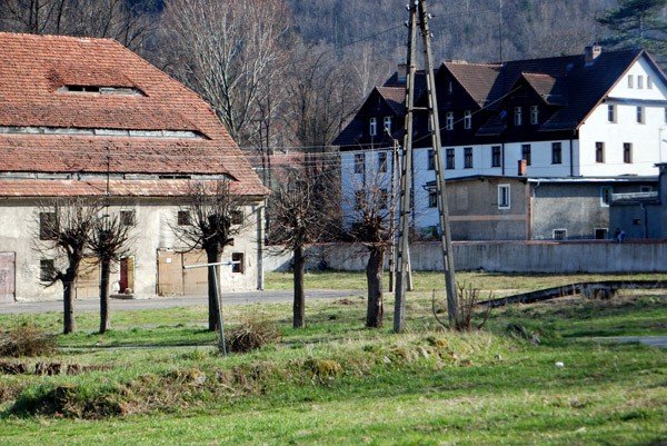 szaleja-w-byym-gospodarstwie-27076