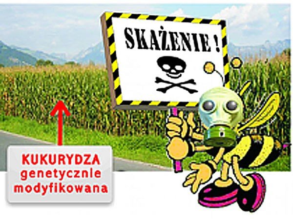 stop-zywnosci-genetycznie-modyfikowanej-27092