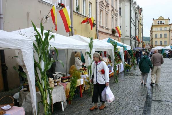 ekologicznie-i-zdrowo-2733