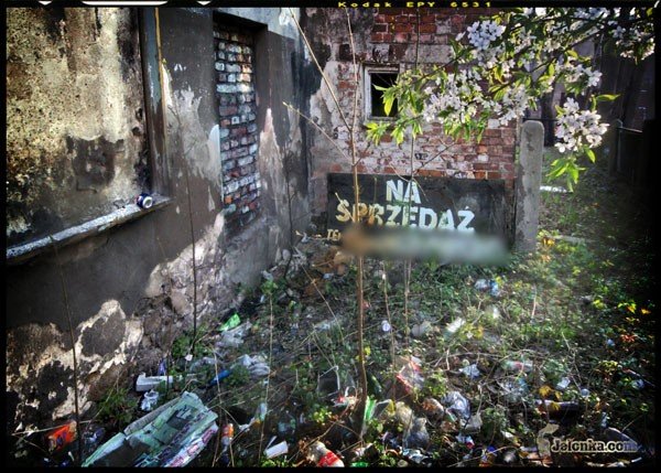 Przy ruinach kina Turysta przy ulicy Matejki wystarczy zajrzeć za ogrodzenie, aby zobaczyć dzikie wysypisko śmieci.