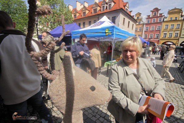 usmiech-sonca-dla-tourtecu-27482