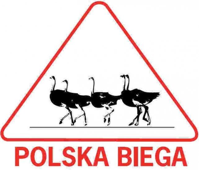 niedzielne-bieganie-w-lwowku-slaskim-27500