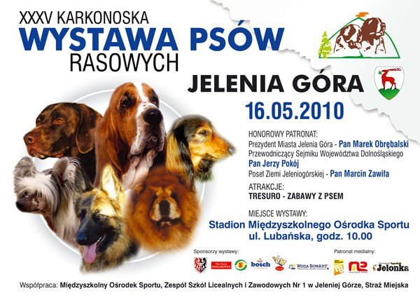 piekne-rasy-na-lubanskiej-27517