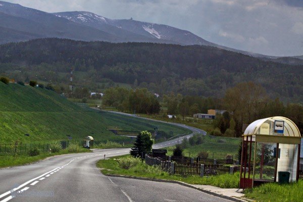 nie-maja-pracy-wyczyszcza-pobocza-27575