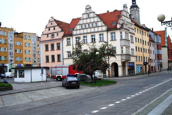 ratowali-ptaka-na-koszt-podatnika-27684