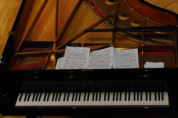 filharmonia-mozartem-brzmiaca-27777
