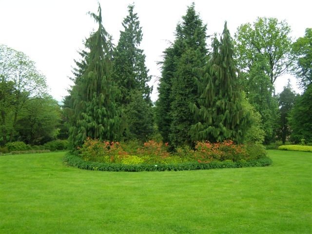 z-pomocna-donia-na-szlak-27805