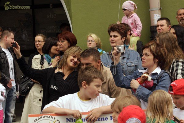 kolorowy-zwierzyniec-pod-ratuszem-27921