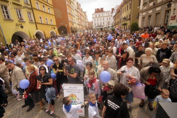 kolorowy-zwierzyniec-pod-ratuszem-27921