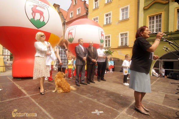 kolorowy-zwierzyniec-pod-ratuszem-27921