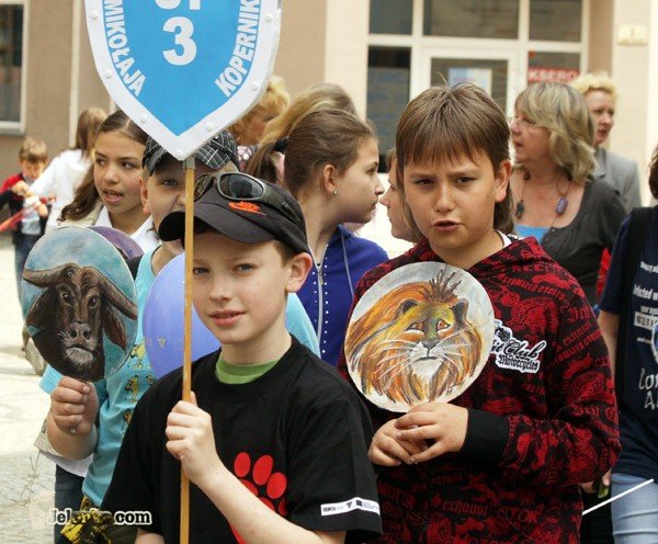 kolorowy-zwierzyniec-pod-ratuszem-27921