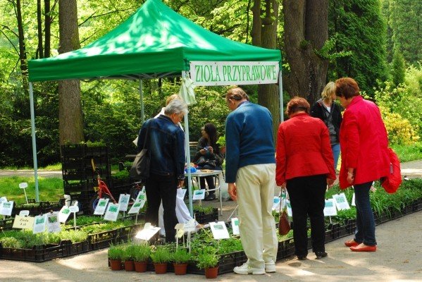 cieplice-z-kwiatami-i-glinoludami-27928