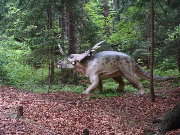 park-dinozaurow-cierpliwosci-27972