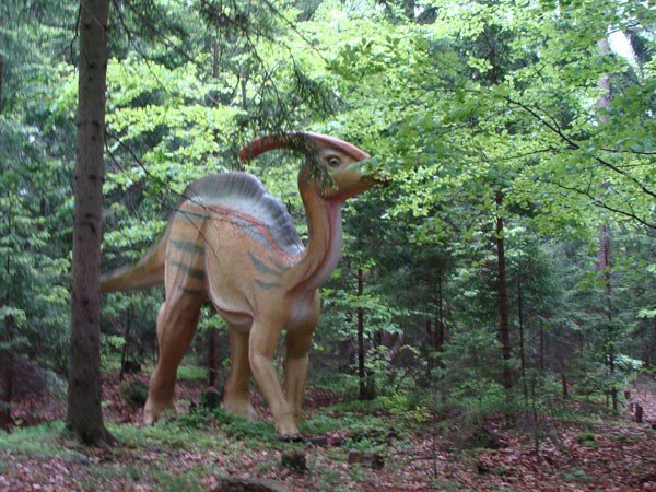 park-dinozaurow-cierpliwosci-27972