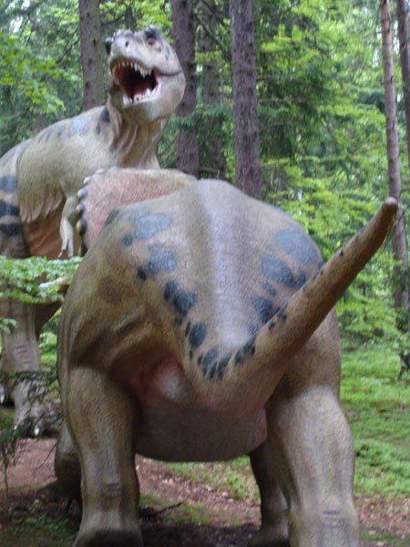 park-dinozaurow-cierpliwosci-27972