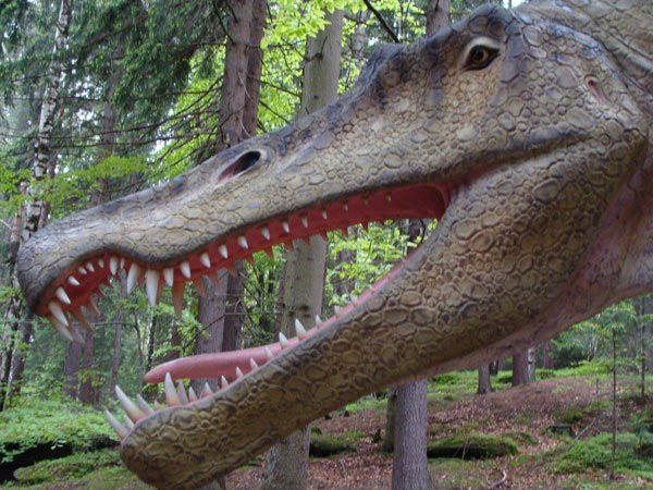 park-dinozaurow-cierpliwosci-27972