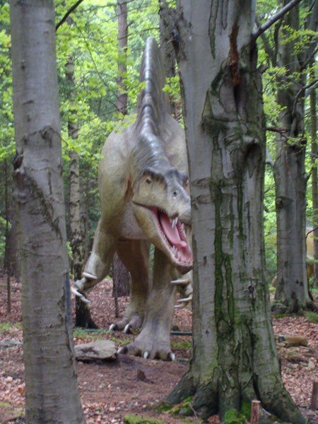 park-dinozaurow-cierpliwosci-27972