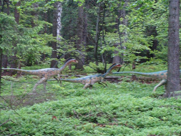 park-dinozaurow-cierpliwosci-27972