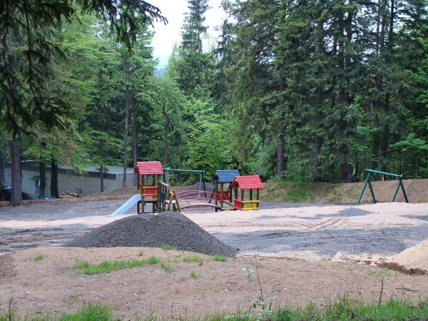 park-dinozaurow-cierpliwosci-27972