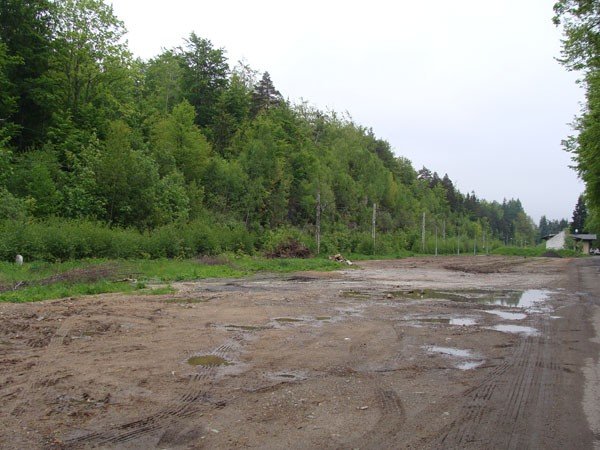 park-dinozaurow-cierpliwosci-27972