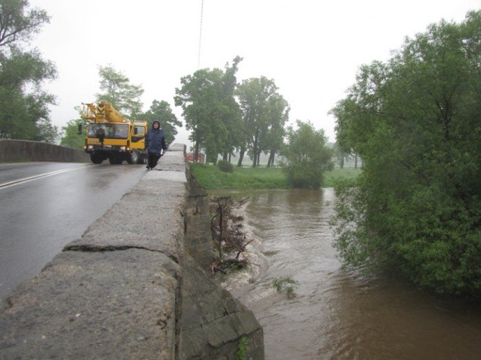 pnie-i-gaezie-zatamoway-nurt-bobru-28020