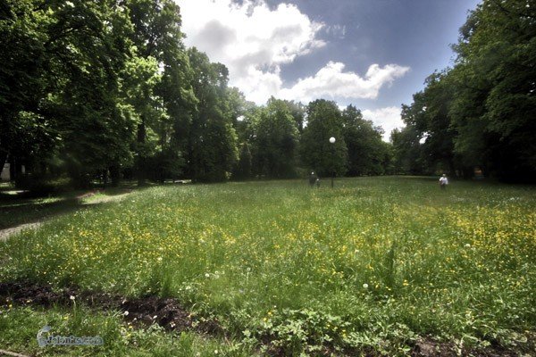 park-zdrojowy-jak-sciernisko-28036